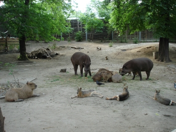 photo 885992