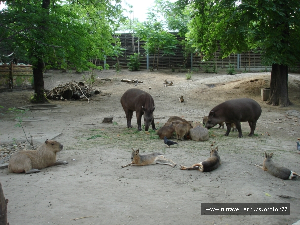 photo 885992