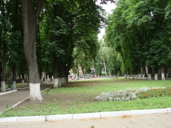 photo 819827