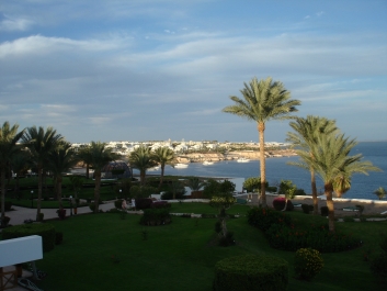 photo 833013