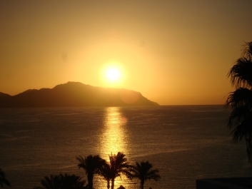 photo 833016