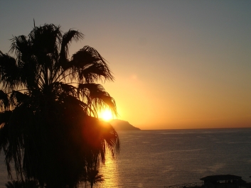 photo 833019
