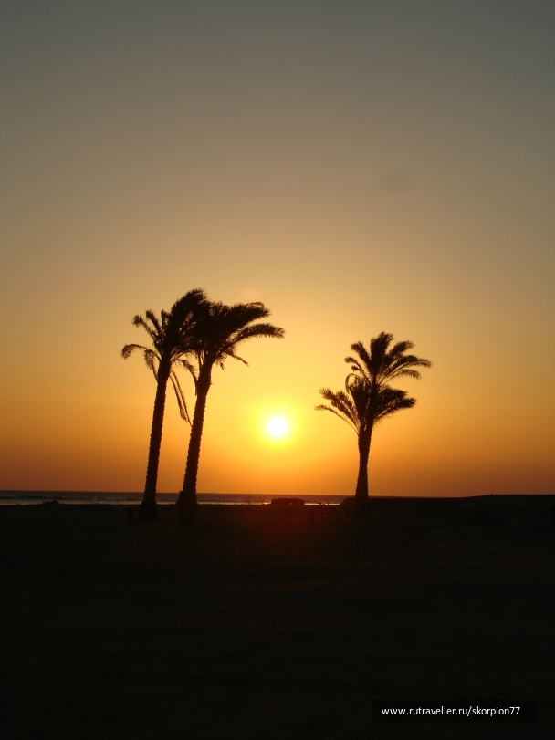 photo 949877