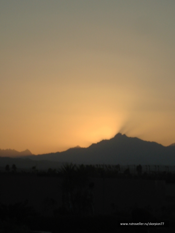 photo 949884