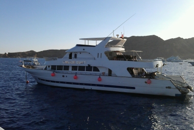 photo 952579