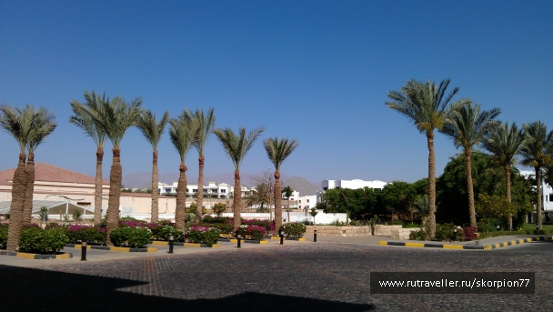 photo 952592