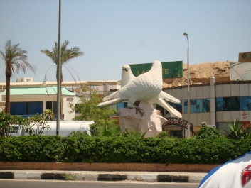 photo 952599
