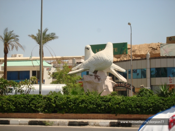 photo 952599