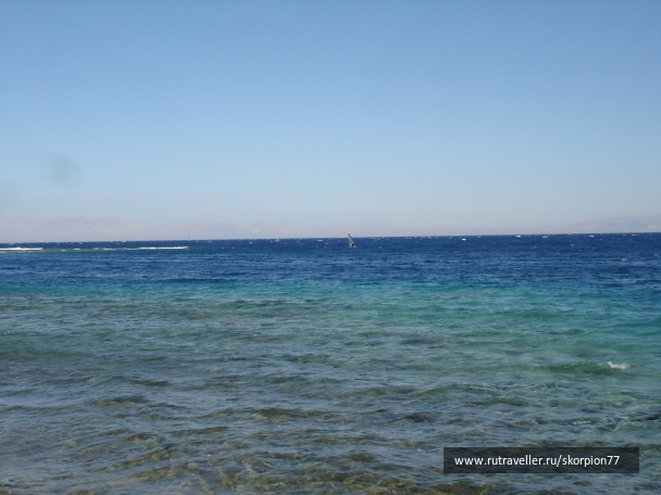 photo 954122