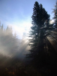 photo 836801