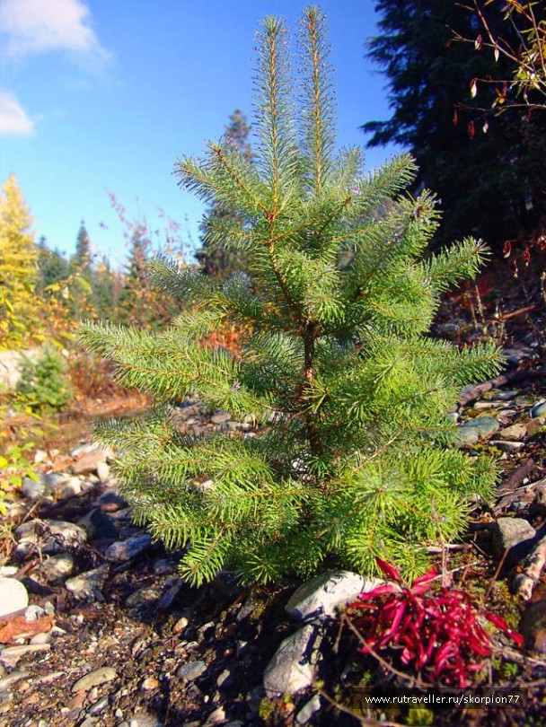 photo 837421
