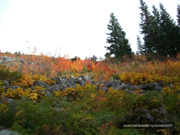 photo 843525