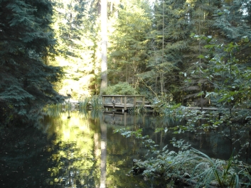 photo 875293