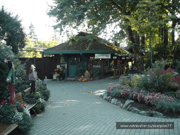 photo 875299