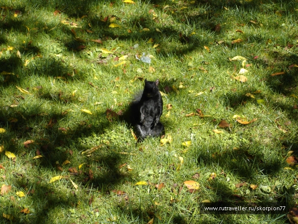 photo 875306
