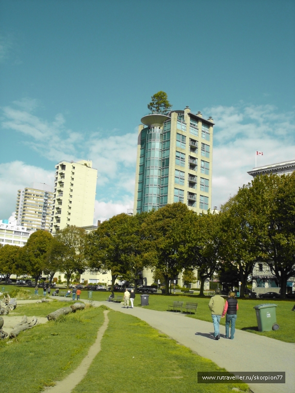 photo 875317