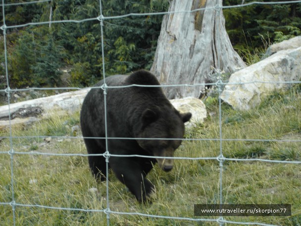 photo 875321