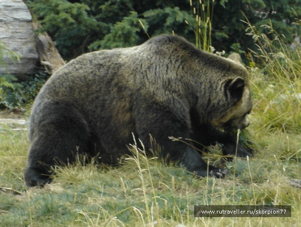 photo 875322