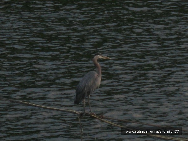 photo 864553