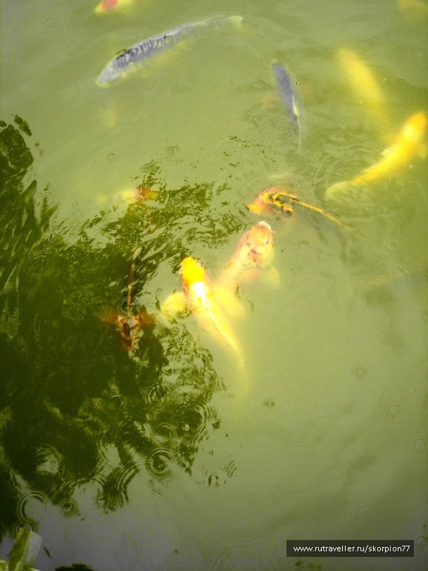 photo 865695