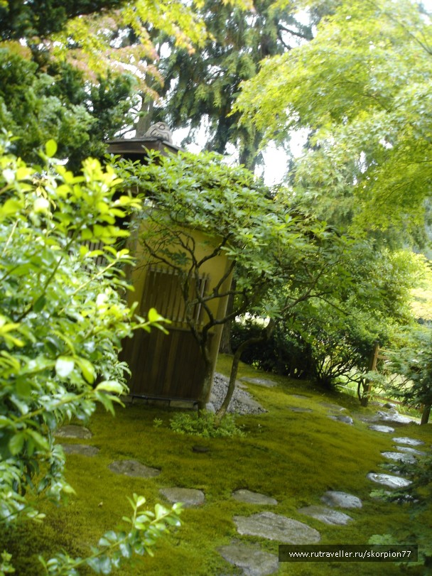 photo 866447