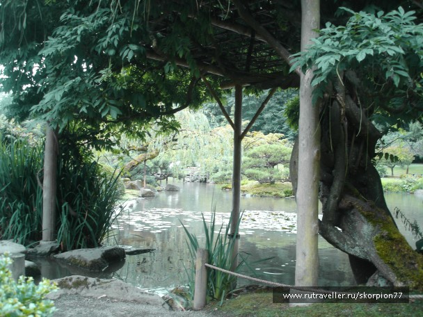 photo 866451