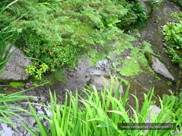 photo 866680