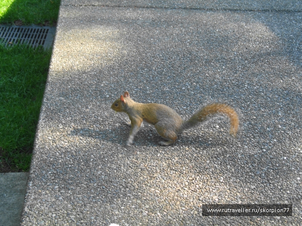 photo 869426