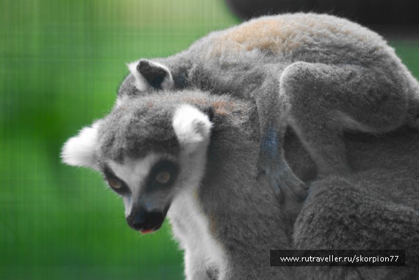 photo 869432