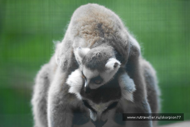photo 869434