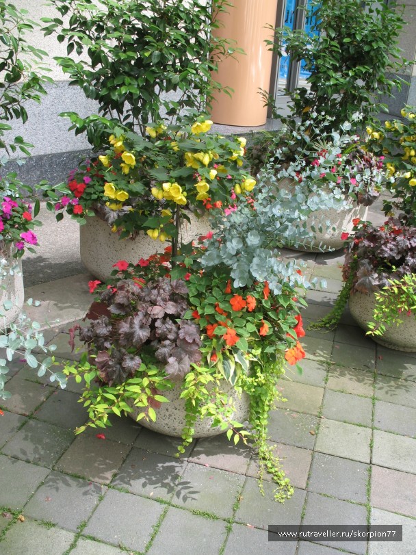 photo 869680