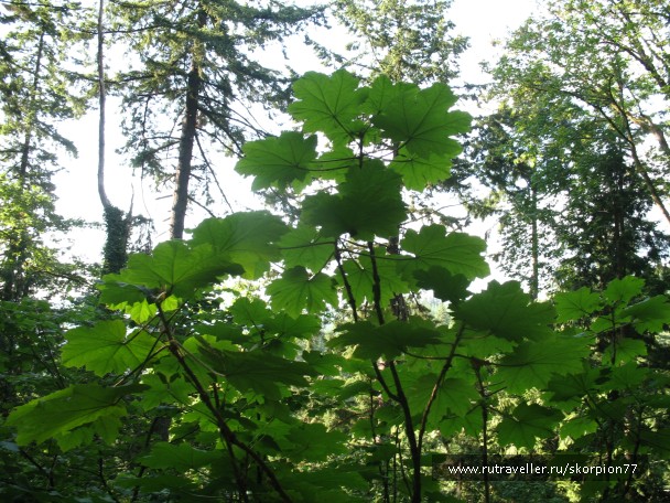 photo 869721