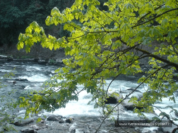 photo 869731
