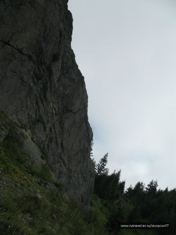 photo 869763
