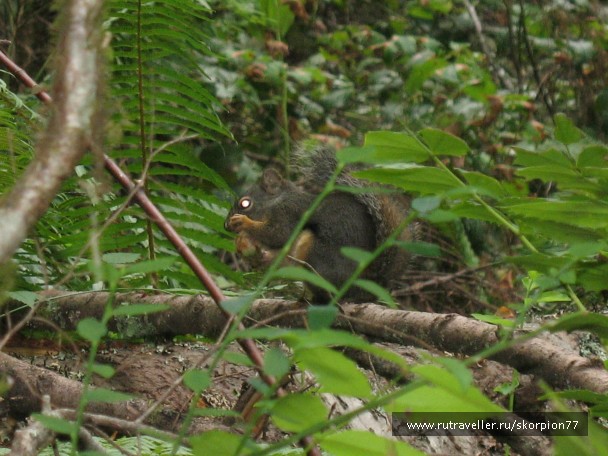 photo 869778