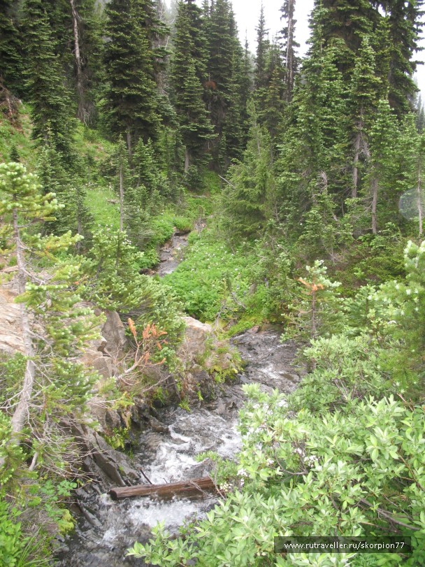 photo 869781