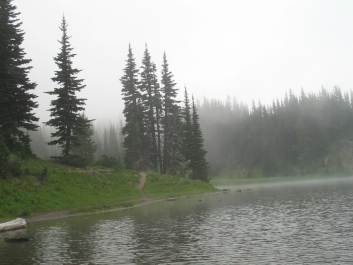 photo 869784