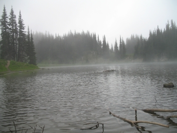 photo 869785