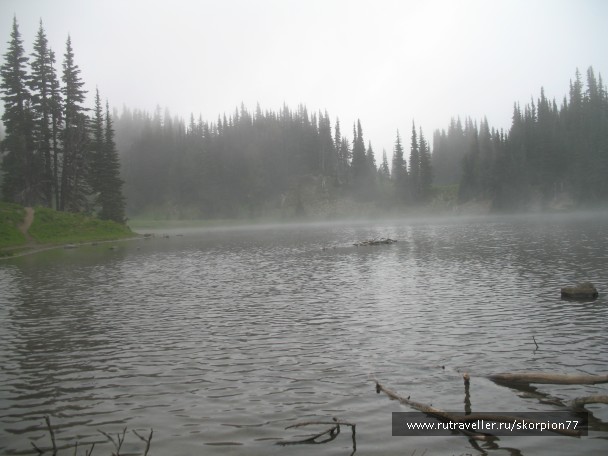 photo 869785