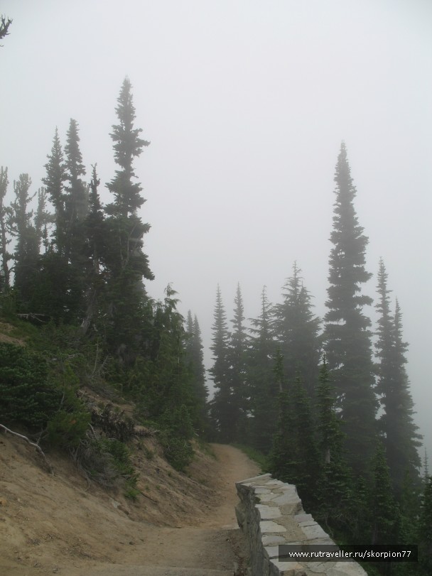 photo 869786