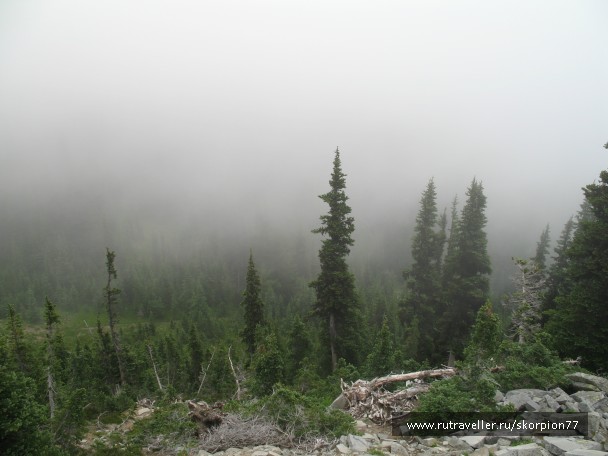 photo 869787