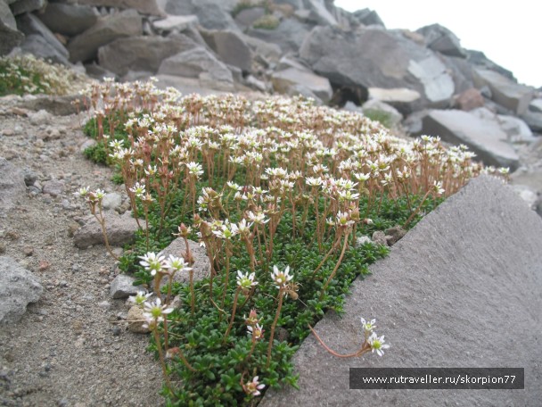 photo 869789