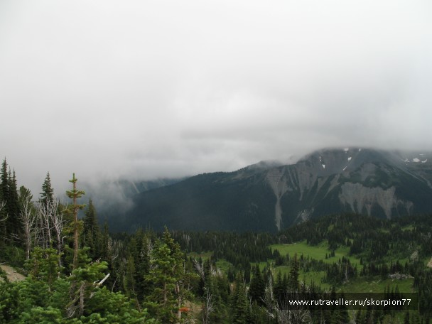photo 869791