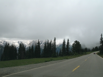 photo 869795