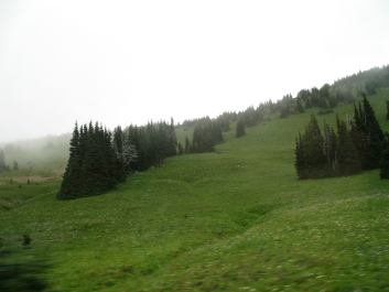 photo 869796