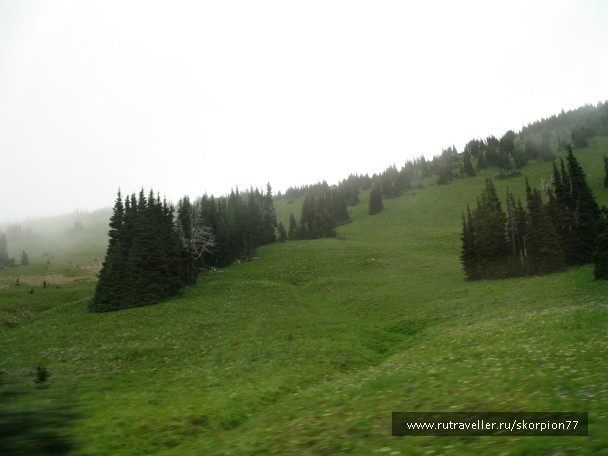 photo 869796