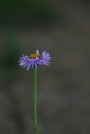 photo 869802
