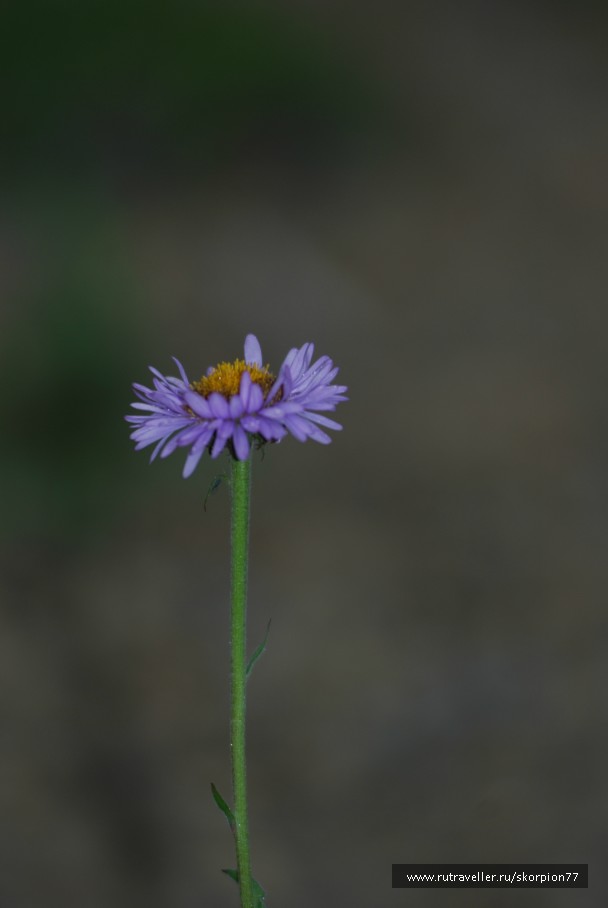 photo 869802