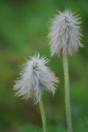 photo 869804