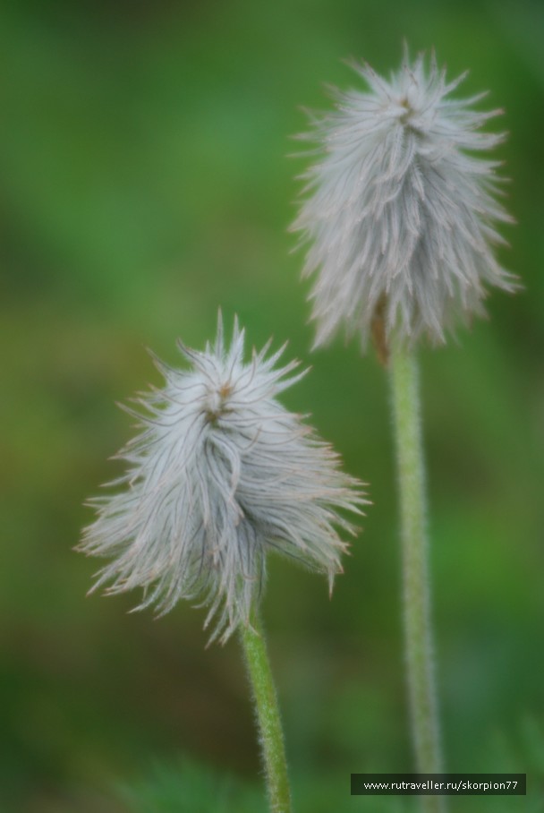 photo 869804